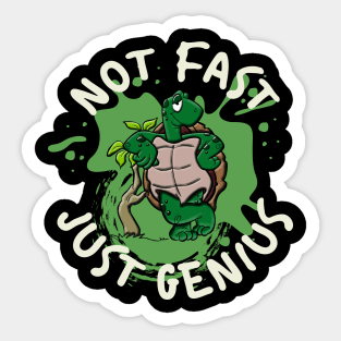 Not Fast Just Genius Sticker